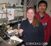 Advanced Composite Nanomaterials Boost Solar Hydrogen Production