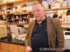 Pioneering Nanocarrier Technology for Precise, Timely Drug Delivery