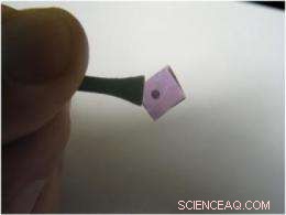 Scientists Convert Light into Electricity Using a Gold Nanoparticle Circuit