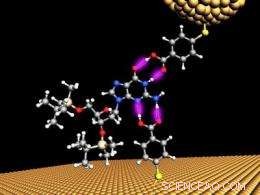 Scientists Introduce Universal DNA Reader to Accelerate and Reduce Sequencing Costs