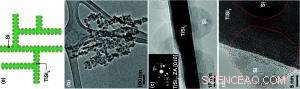Silicon‑Coated Nanonets Offer Enhanced Performance for Next‑Generation Lithium‑Ion Batteries