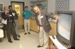 New Study Reveals How Nanoparticles Affect Marine Organisms