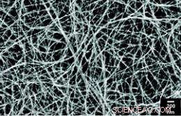 Carbon Nanotube Thermocells Offer New Pathways for Sustainable Energy Generation
