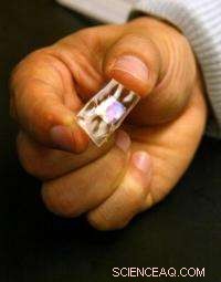 Piezo-Rubber Breakthrough: Harvesting Energy from Body Movements