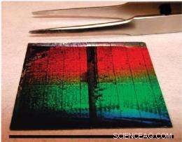 Harnessing Solar Energy: Silicon Nanowires Capture Light Efficiently