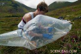 Scientists Produce Tiny, Eco-Friendly Magnets Using Ancient Bacteria