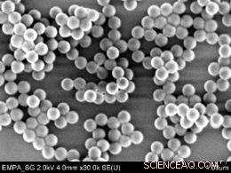 Scientists Study Nanoparticle Transport Through the Human Body