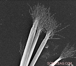 Ambient Light Causes Unexpected Twisting of Rigid Nanoparticle Structures