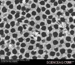 Biofunctional Nanomaterials for Advanced Medical and Health Devices