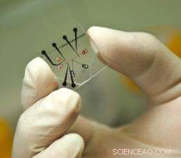 Innovative Desalination System Promises Compact, Portable Water Purification Solutions