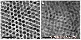 Universal Technique Enables Custom Nanomaterial Composites for On-Demand Applications