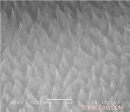 Conical Nanocarbon Structures Pave the Way for Flexible, Transparent Field‑Emission Displays