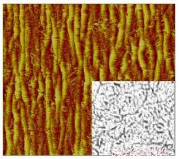 Researchers Resolve Wrinkling Challenges in Transparent Carbon Nanotube Films
