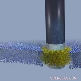 Seamless Integration of a Nanoscale Stealth Probe into Cell Membranes