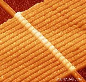 HP Labs Demonstrates Memristors  Computational Capabilities – Video Included