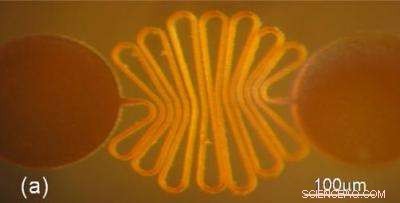 New 256-Micronode Network Expands 256×, Bridging Micro- and Macro-Scale Realms