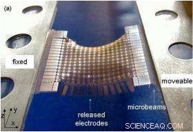 New 256-Micronode Network Expands 256×, Bridging Micro- and Macro-Scale Realms