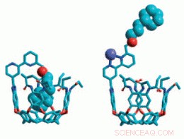 Nanocontainer with Integrated Switch: A Self-Acting Molecular Ouroboros