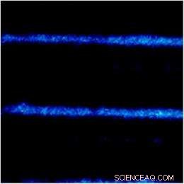Innovative Molecular Glass Fibers Harness Bacterial Photosynthesis for Ultra-Thin Light Transport