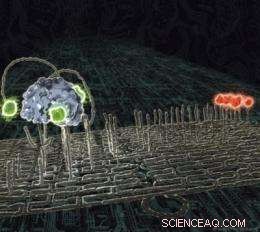 DNA Nanorobots: Spiders That Move at the Nanoscale