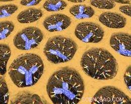 Silica Cages Enhance Anti-Cancer Antibody Efficacy, Eradicating Tumors in Mice