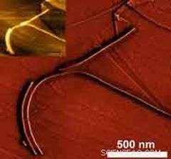 Crystallization Enables Precise Nanoparticle Self‑Assembly