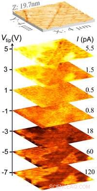 Polarization‑Modulated Rectification on Ferroelectric Surfaces: A High‑Resolution Study