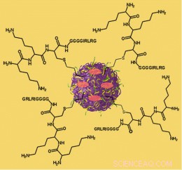 Nanosponge Drug Delivery Beats Direct Injection in Targeted Cancer Treatment