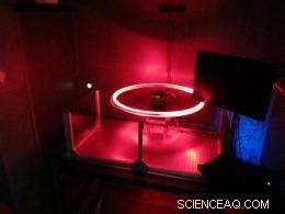 Massively Parallel Single-Molecule Manipulation: Accessible Tools for All Scientists