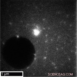 New DTEM Imaging Technique Unveils Nanocatalyst Dynamics with Unprecedented Resolution