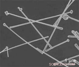 Copper Nanowires Pave the Way for Flexible Displays and Solar Cells
