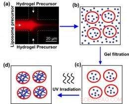 Liposome-Hydrogel Hybrids: Easy, Reliable Route to Stronger Bubble Films