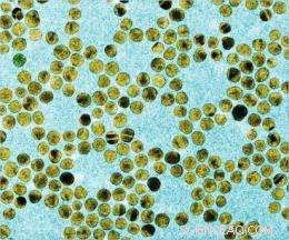 Engineers Harness Sticky Gold Nanoparticles for Medical Breakthrough