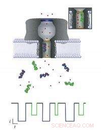 NIST Breaks New Ground in Translating Nanopore Signals for Rapid, Accurate Molecular Identification