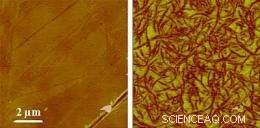 Advanced Subsurface Imaging: Atomic Force Microscopy Reveals Hidden Nanotube Structures
