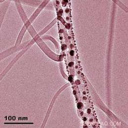 Advanced Nanowire Technologies Shaping the Future of Electronics and Optoelectronics