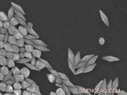 Advanced Technique Tracks Single-Molecule Motion Over Hours