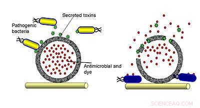 Cutting-Edge Nano-Technology Dressing Revolutionizes Infection Control
