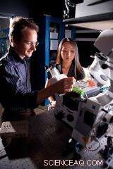 Scientists Harness Magnetic Nanoparticles to Remotely Control Neurons and Animal Behavior – Watch the Video