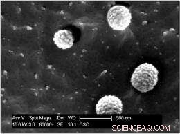 Revolutionary Nano‑Sand Technology Enhances Skin Care Products