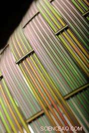 Acoustic Fibers That Hear and Sing: MIT’s Breakthrough in Sound-Transmitting Technology