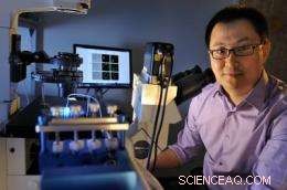 Revolutionizing Gene Therapy: Advanced DNA Delivery Systems for Efficient Cellular Uptake