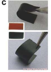 Revolutionary Antibacterial Paper Material for Bandages, Food Packaging, and Footwear