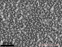 Engineering Breakthrough: Simplifying the Production of the World’s Smallest Nanowires