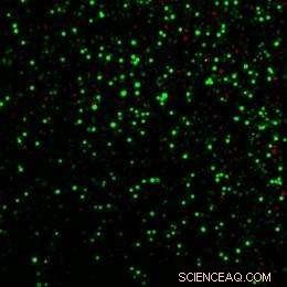 Laser‑Activated Nanoparticles Drive Nanoblasts to Deliver Biomolecules into Cells