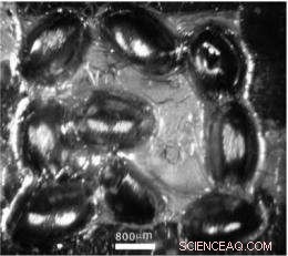 Fly Eye Insights Enable Cost‑Effective Production of Biomimetic Surfaces