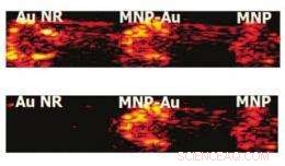 Multifunctional Nanoparticle Opens New Horizons in Biological Imaging