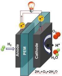 Innovative Platinum Nanoparticle Catalyst Promises Durable, Cost-Effective Fuel Cells