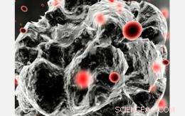 Nanomaterial-Based Air Purifier Safeguards Homes from Toxic Drywall Emissions