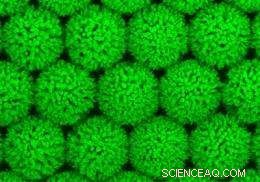 Scientists Grow Sea Urchin‑Shaped Nanostructures Using Electrochemical Method